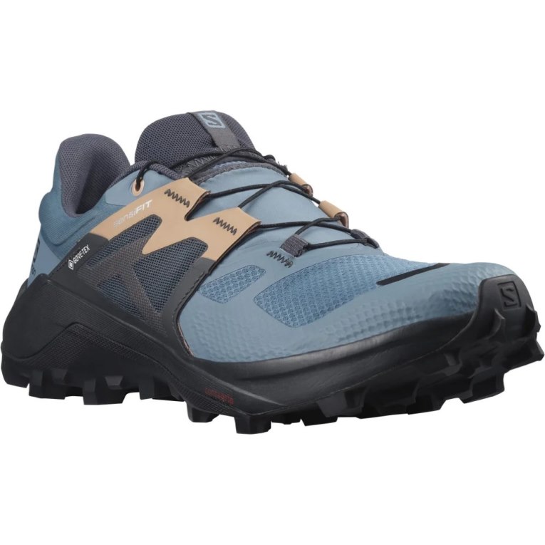 Blue / Black Salomon Wildcross 2 GTX Women's Trail Running Shoes | PH 59876N